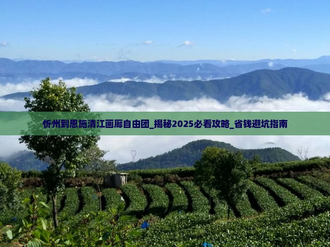 忻州到恩施清江画廊自由团