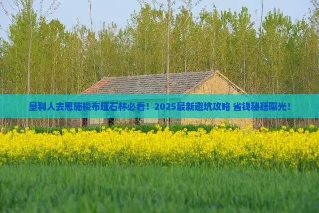 垦利去恩施梭布垭石林必去地