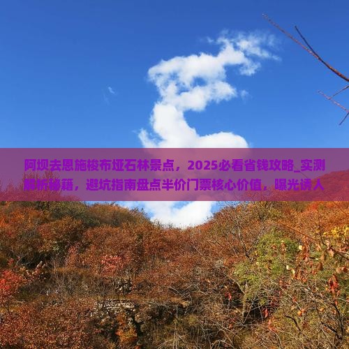 阿坝去恩施梭布垭石林景点