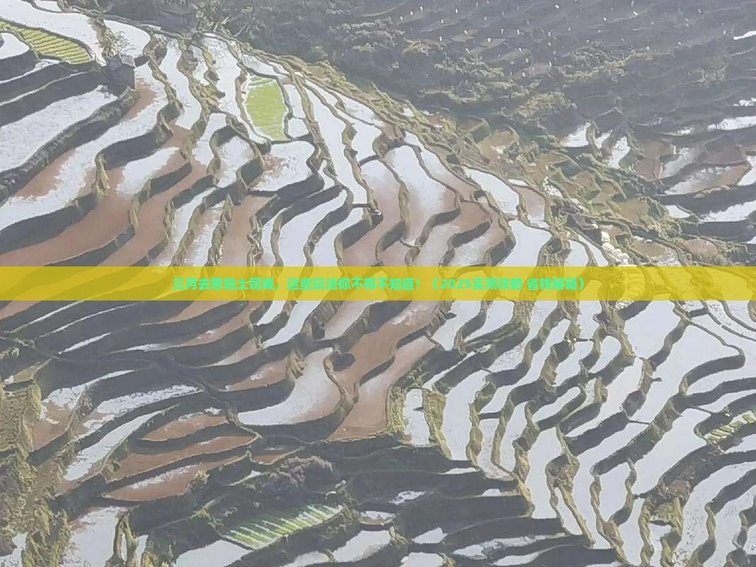 三月到恩施土司城哪里玩