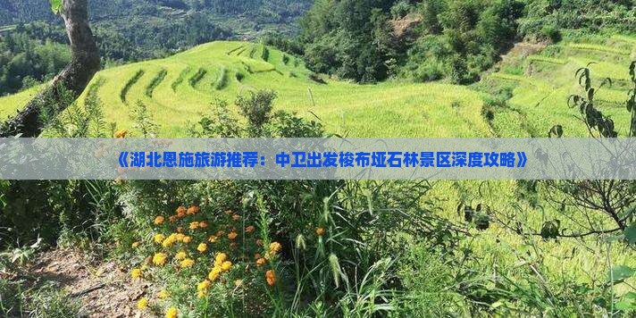 中卫去恩施梭布垭石林景点