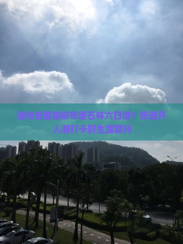 潍坊去恩施梭布垭石林六日游