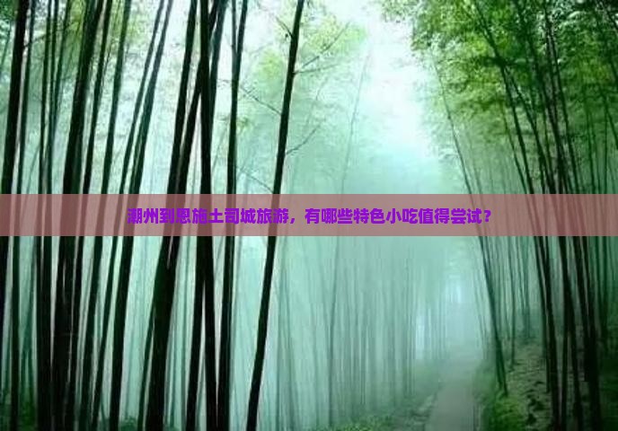 潮州到恩施土司城旅游小吃