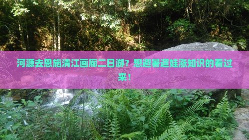 河源去恩施清江画廊二日游