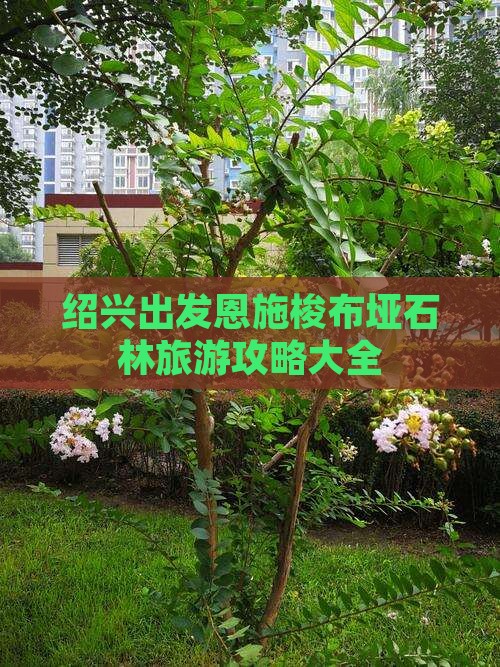 绍兴到恩施梭布垭石林景点 绍兴到恩施梭布垭石林景点