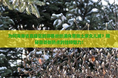海南省直辖到恩施土家女儿城旅游