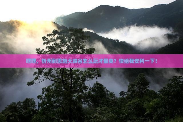 忻州到恩施大峡谷哪里玩