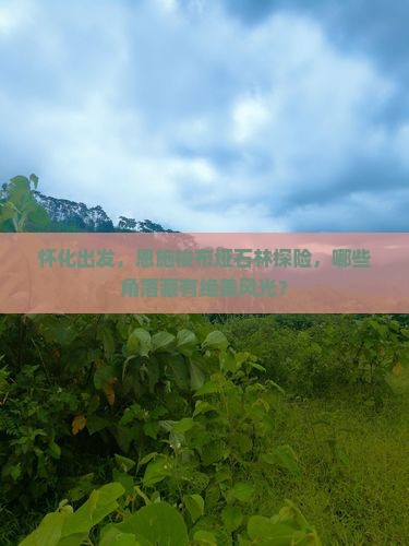 怀化到恩施梭布垭石林哪里玩