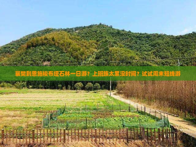 襄樊到恩施梭布垭石林一日