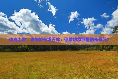 珠海到恩施梭布垭石林旅游