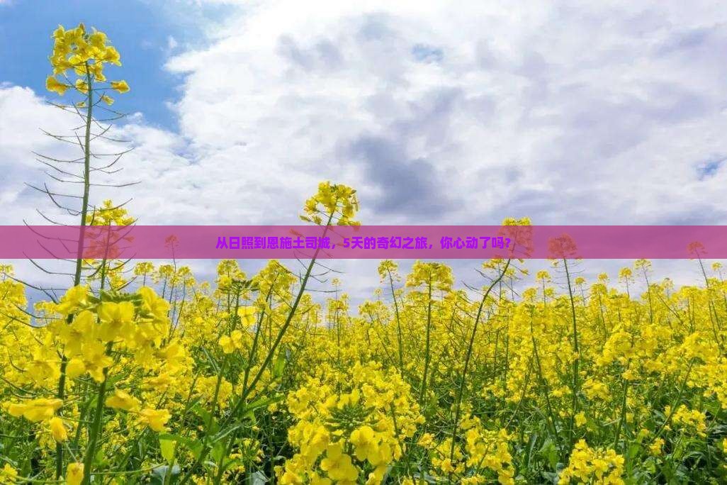 日照到恩施土司城五日游