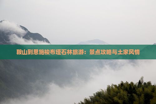 鞍山到恩施梭布垭石林旅游