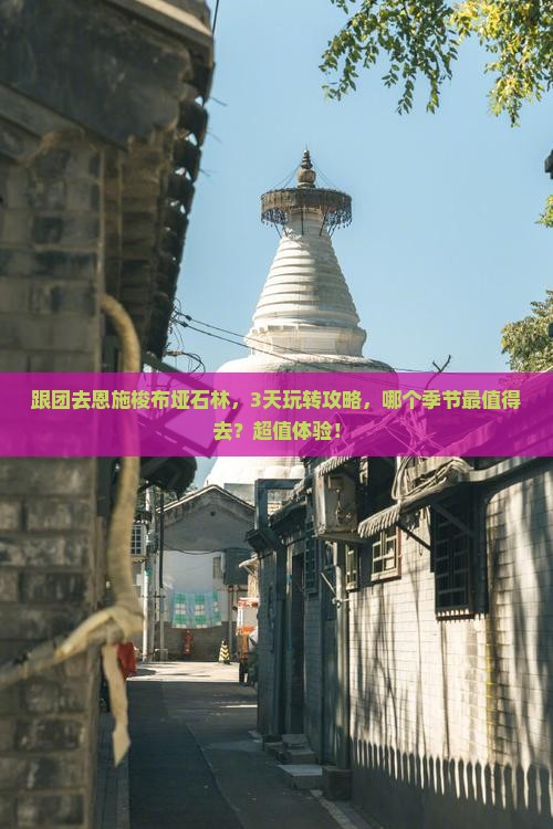 株洲去恩施梭布垭石林旅游