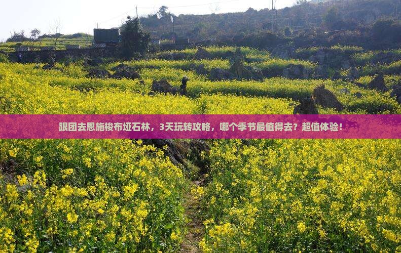 株洲去恩施梭布垭石林旅游