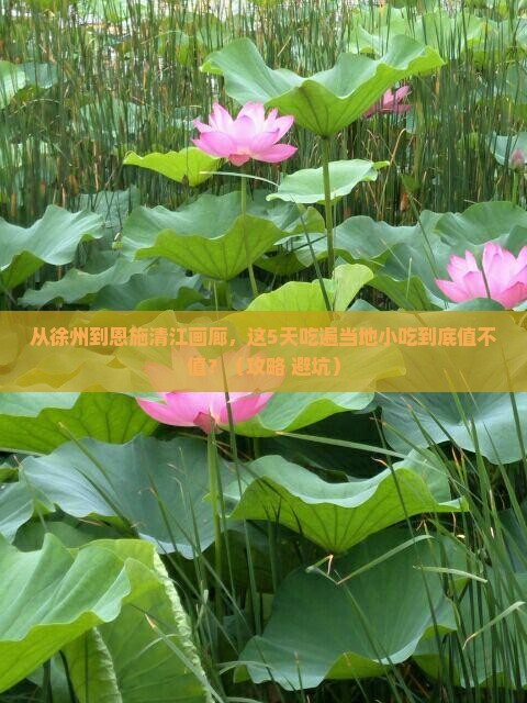 徐州到恩施清江画廊旅游小吃