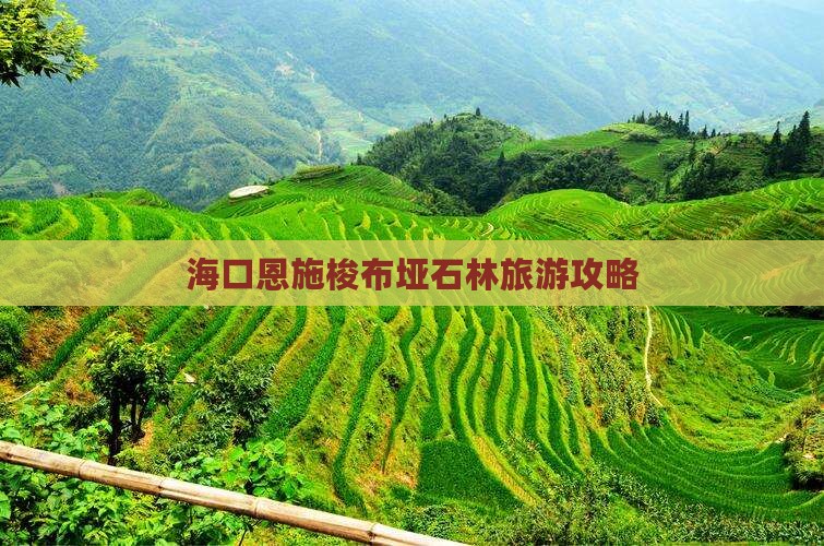 海口去恩施梭布垭石林团体旅游