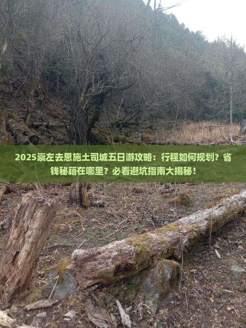 崇左去恩施土司城五日游