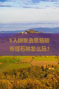 百色去恩施梭布垭石林团体旅游