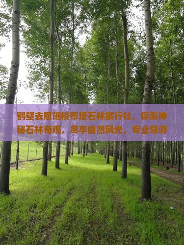 鹤壁去恩施梭布垭石林旅行社