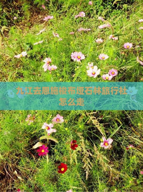 九江去恩施梭布垭石林旅行社