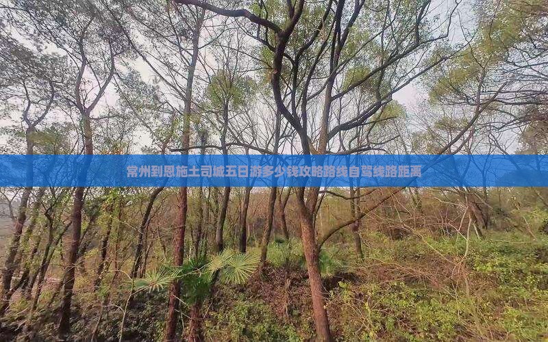 常州到恩施土司城五日游