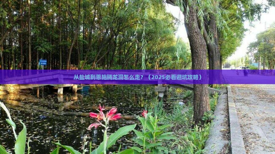 盐城到恩施腾龙洞景点