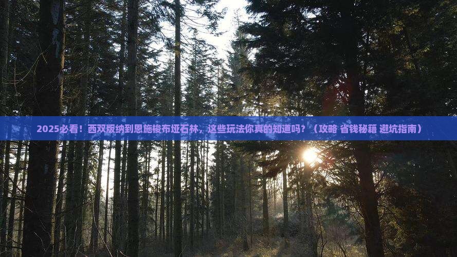 西双版纳去恩施梭布垭石林哪里玩