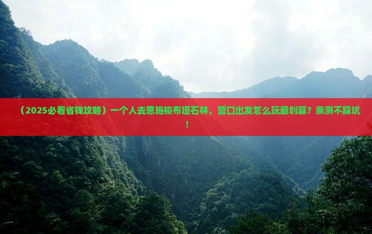 营口去恩施梭布垭石林个人游