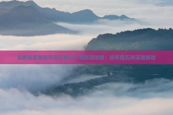 阜新去恩施梭布垭石林三日游