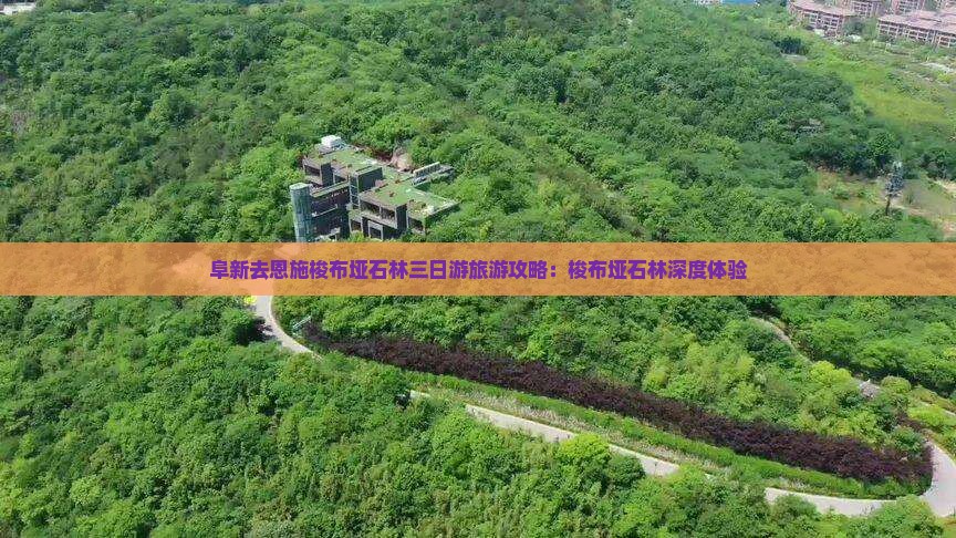 阜新去恩施梭布垭石林三日游