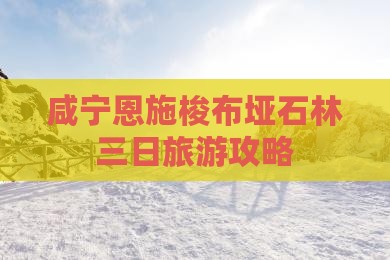 咸宁去恩施梭布垭石林三日游