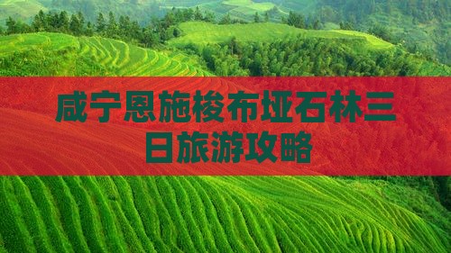 咸宁去恩施梭布垭石林三日游
