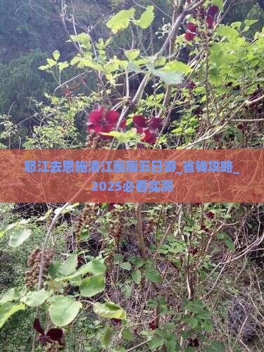怒江去恩施清江画廊五日游