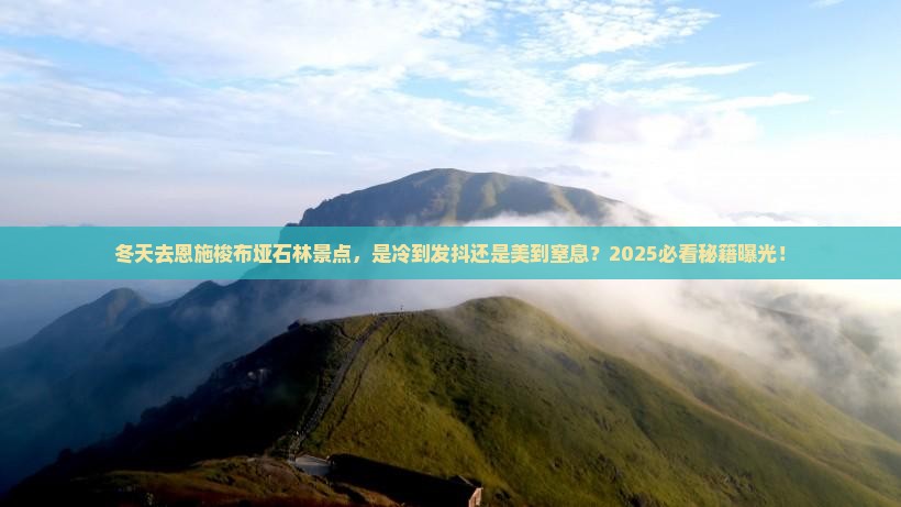 冬天去恩施梭布垭石林景点