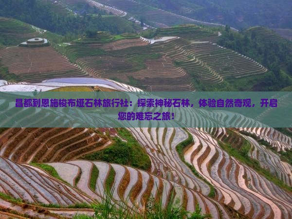 昌都到恩施梭布垭石林旅行社