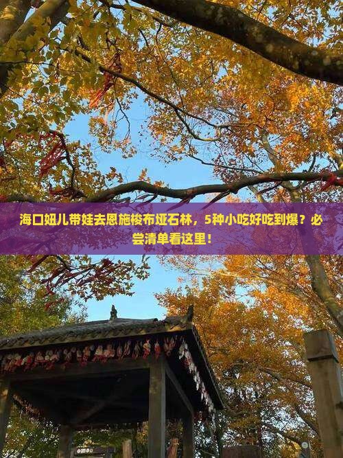 海口到恩施梭布垭石林旅游小吃