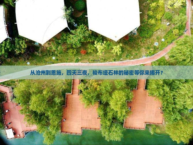 沧州到恩施梭布垭石林四日游