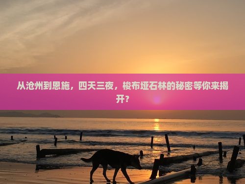 沧州到恩施梭布垭石林四日游