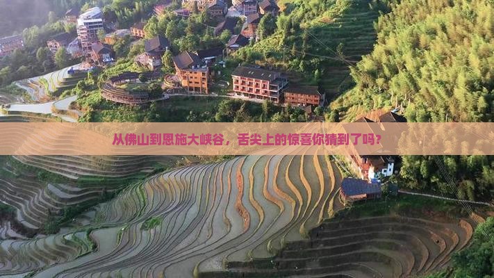 佛山到恩施大峡谷旅游小吃