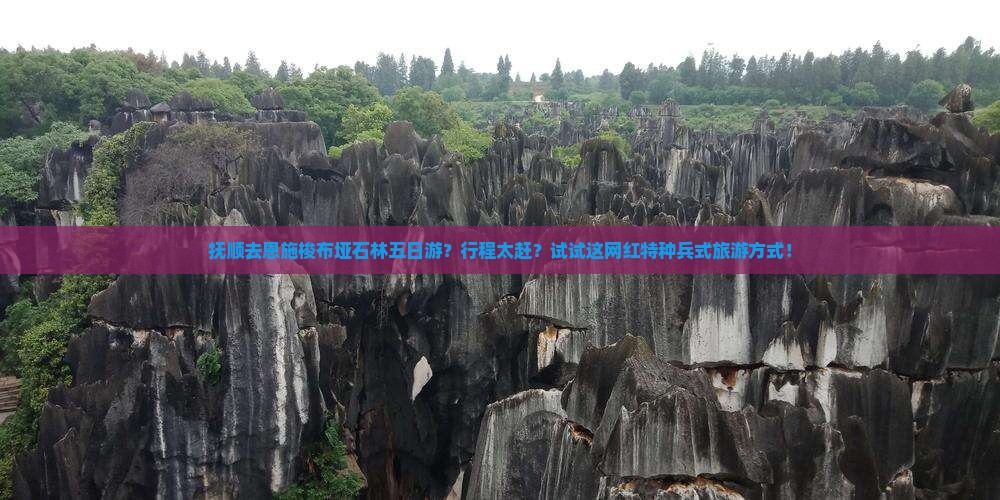 抚顺去恩施梭布垭石林五日游