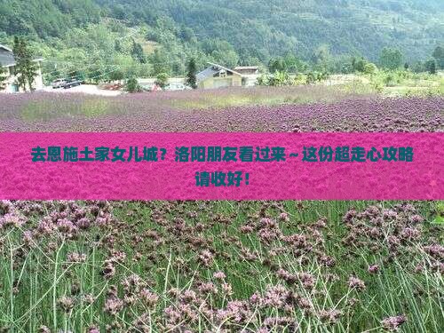 洛阳去恩施土家女儿城攻略