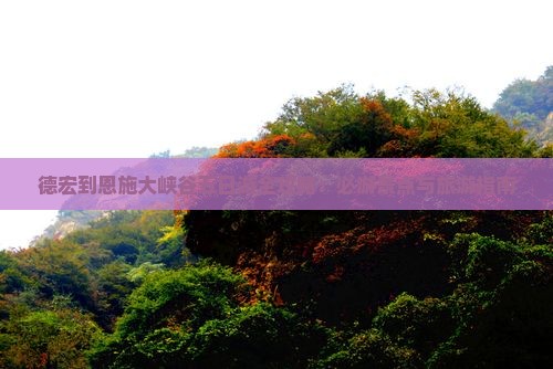 德宏到恩施大峡谷五日游