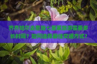 齐齐哈尔去恩施七星寨旅游 齐齐哈尔去恩施七星寨旅游