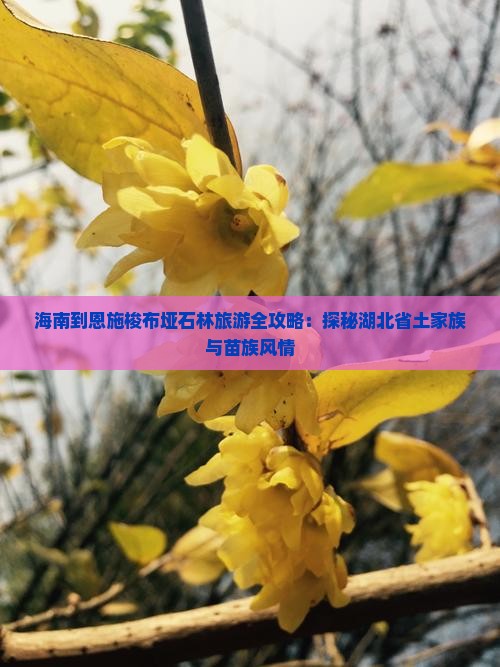 海南去恩施梭布垭石林旅游