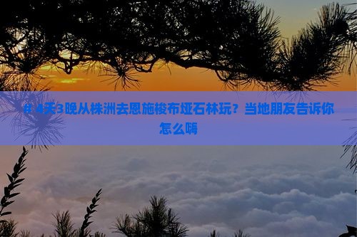 株洲到恩施梭布垭石林四日游