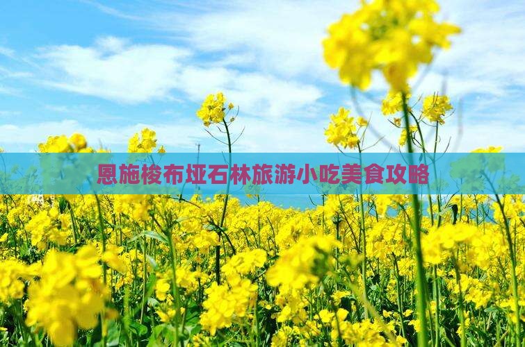 上海去恩施梭布垭石林旅游小吃