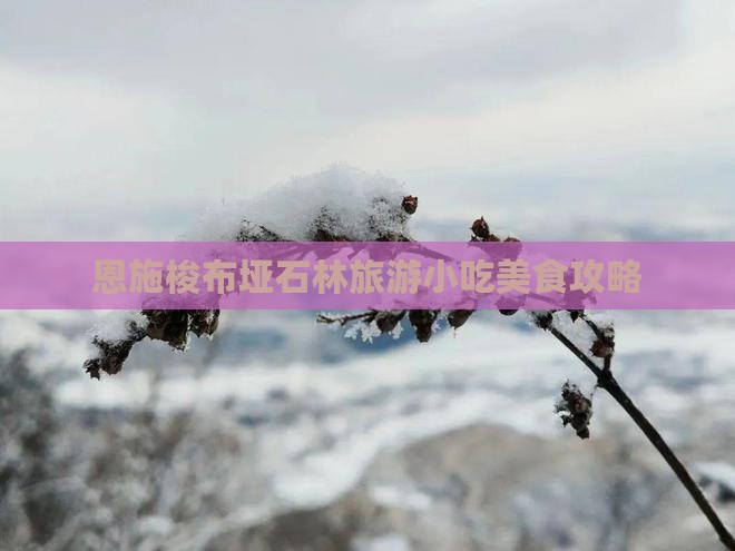 上海去恩施梭布垭石林旅游小吃