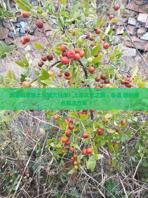 南通到恩施土司城六日游