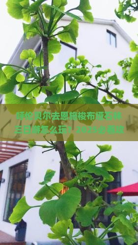 呼伦贝尔去恩施梭布垭石林三日游