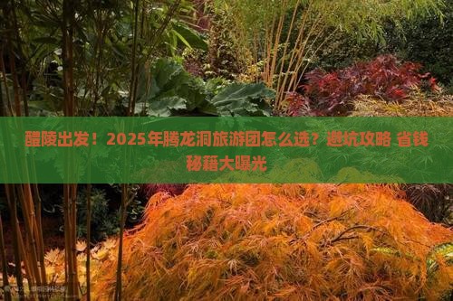 醴陵到恩施腾龙洞大型旅游团